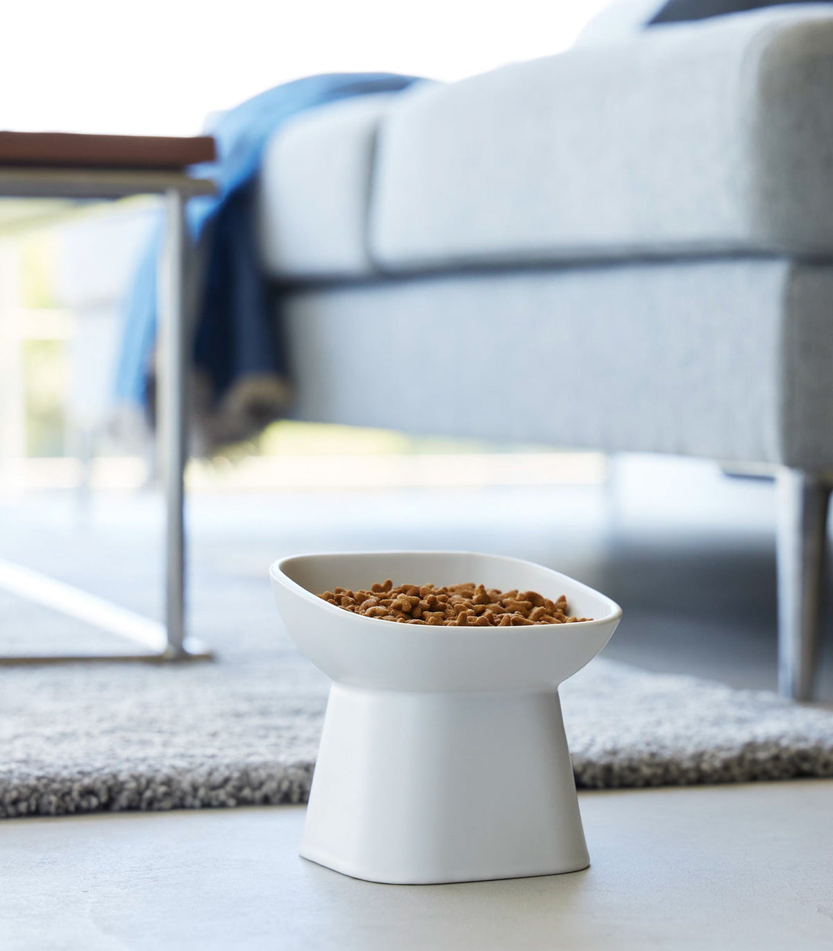 Tilted Pet Food Bowl